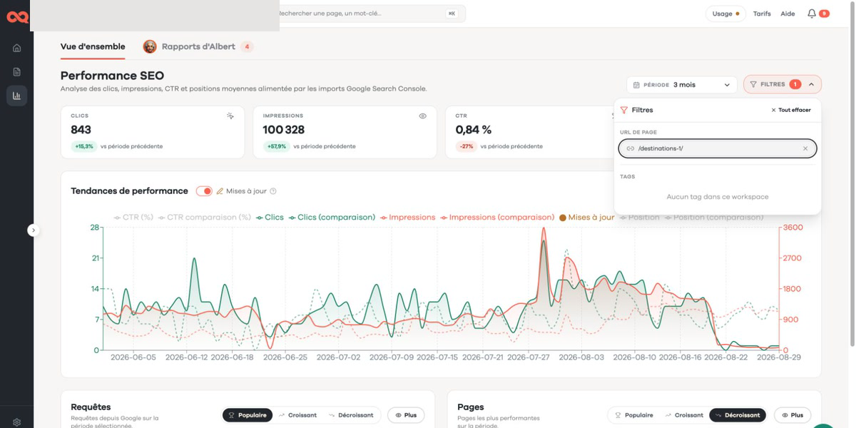 Filtre URL appliqué dans la vue Performance SEOQuantum